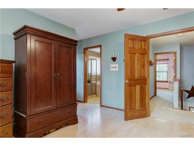 232 Cleta Ct, Ballwin, MO 63021 photo 21