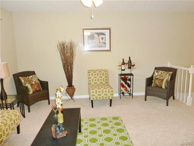 839 Knickerbacker Dr, Ballwin, MO 63021 photo 22