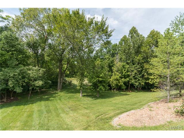1430 Lucerne Pl, Weldon Spring, MO 63304 photo 8