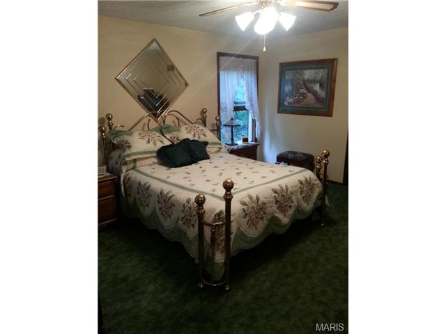 6 Spring, O'fallon, MO 63366 photo 16
