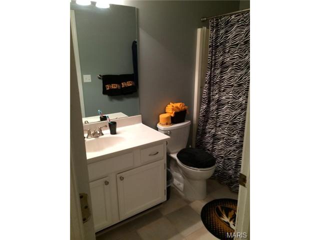 543 Oaktree Crossing Ct, Ballwin, MO 63021 photo 14