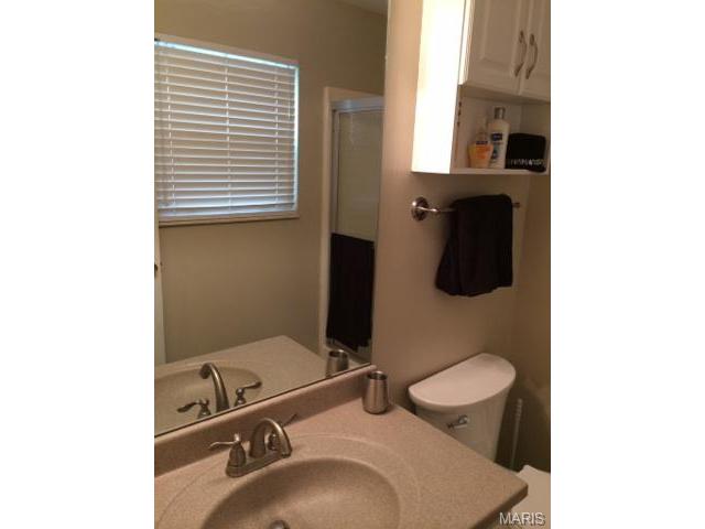 543 Oaktree Crossing Ct, Ballwin, MO 63021 photo 16