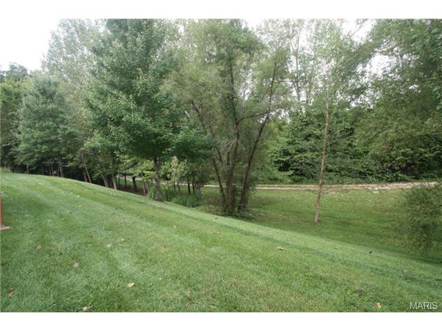 1654 Thurston Ct, O'fallon, MO 63366 photo 17