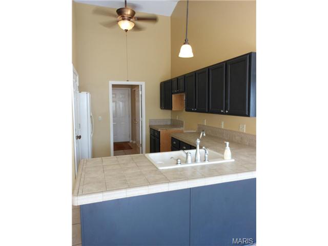 1204 Turtle Crk, O'fallon, MO 63366 photo 47