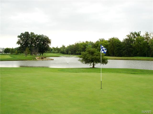 1204 Turtle Crk, O'fallon, MO 63366 photo 36
