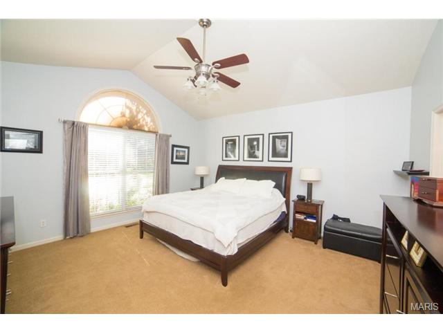 19 Avondale Spring Ct, O'fallon, MO 63368 photo 10