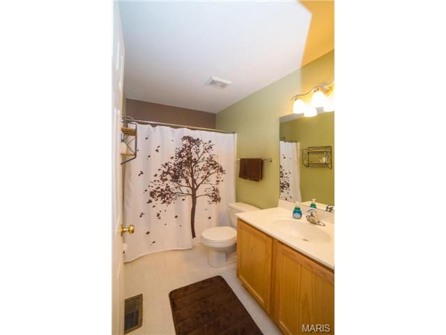 19 Avondale Spring Ct, O'fallon, MO 63368 photo 15