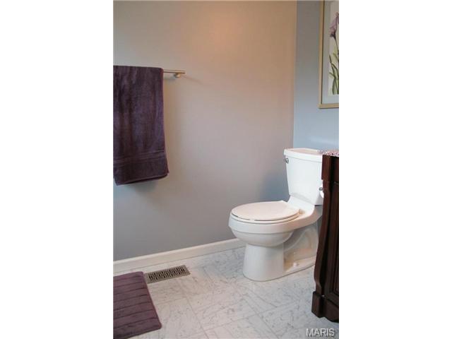 718 Barham Down Dr, Ballwin, MO 63011 photo 15