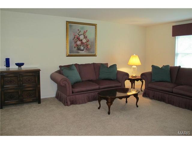 718 Barham Down Dr, Ballwin, MO 63011 photo 9