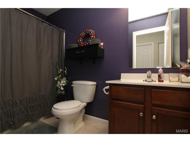 2522 Amber Willow Ct, O'fallon, MO 63367 photo 16