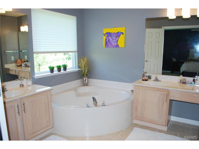 43 Quakers Pl, O'fallon, MO 63366 photo 18