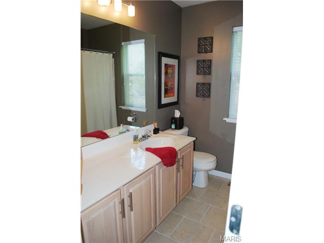 43 Quakers Pl, O'fallon, MO 63366 photo 22