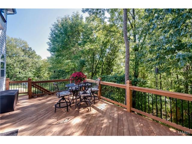 700 Rose Haven Ct, Ballwin, MO 63021 photo 20