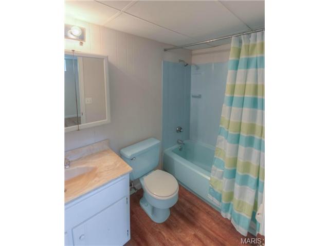 809 Daffodil, O'fallon, MO 63366 photo 14