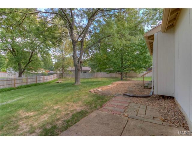 809 Daffodil, O'fallon, MO 63366 photo 19