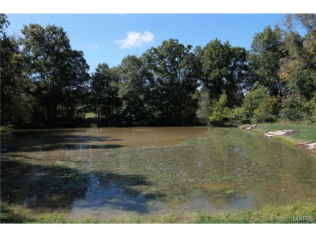 9 Upper Whitmoor Dr, Weldon Spring, MO 63304 photo 34