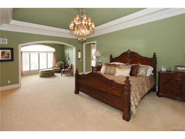 9 Upper Whitmoor Dr, Weldon Spring, MO 63304 photo 13