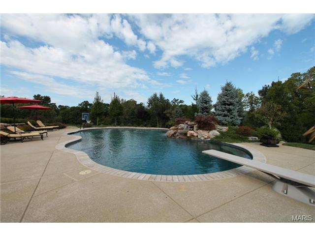 9 Upper Whitmoor Dr, Weldon Spring, MO 63304 photo 77