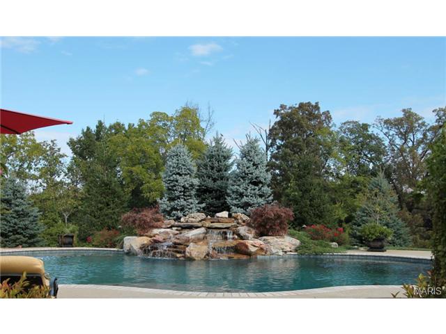 9 Upper Whitmoor Dr, Weldon Spring, MO 63304 photo 72