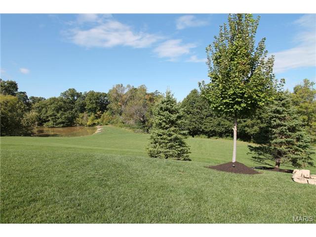 9 Upper Whitmoor Dr, Weldon Spring, MO 63304 photo 82