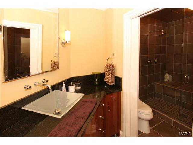 9 Upper Whitmoor Dr, Weldon Spring, MO 63304 photo 69