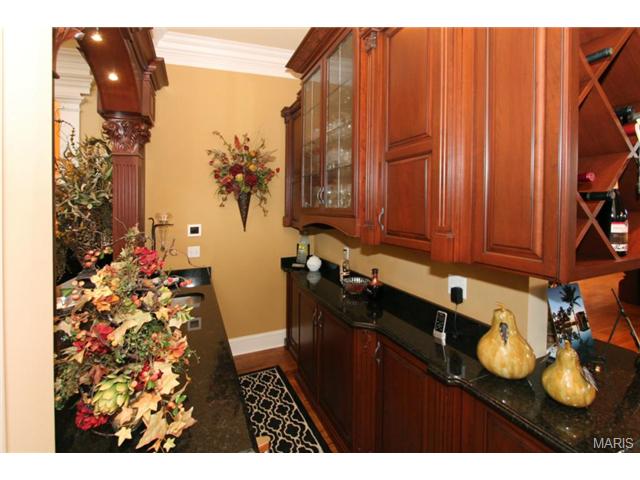 9 Upper Whitmoor Dr, Weldon Spring, MO 63304 photo 44