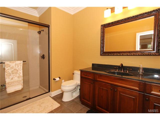 9 Upper Whitmoor Dr, Weldon Spring, MO 63304 photo 64