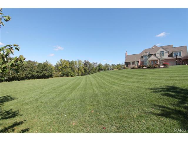 9 Upper Whitmoor Dr, Weldon Spring, MO 63304 photo 84