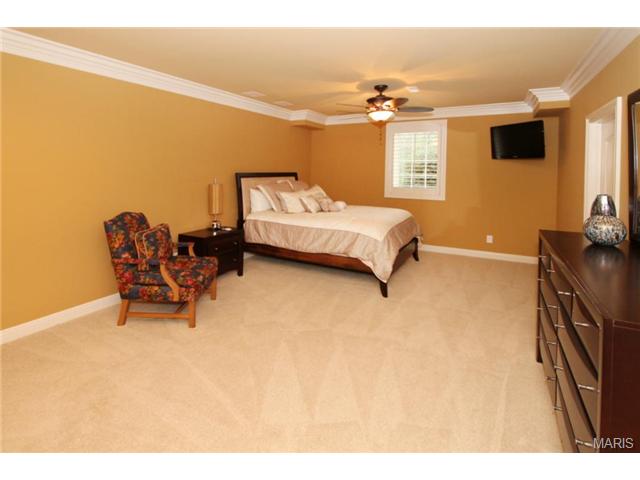 9 Upper Whitmoor Dr, Weldon Spring, MO 63304 photo 66