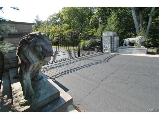 9 Upper Whitmoor Dr, Weldon Spring, MO 63304 photo 99