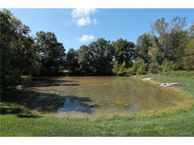 9 Upper Whitmoor Dr, Weldon Spring, MO 63304 photo 83