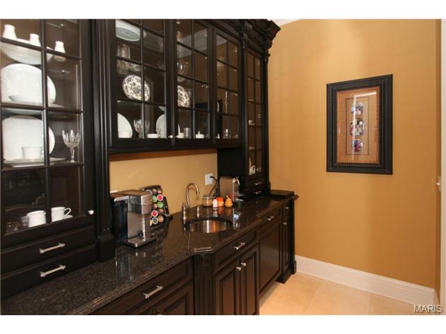9 Upper Whitmoor Dr, Weldon Spring, MO 63304 photo 48