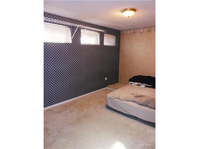 1330 Manuka Dr, O'fallon, MO 63366 photo 25