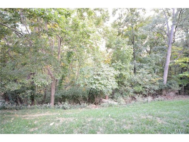 1722 Ridgeview Circle Dr, Ballwin, MO 63021 photo 29