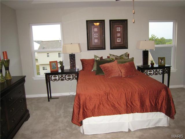 1000 Ashfield Ln, O'fallon, MO 63366 photo 42