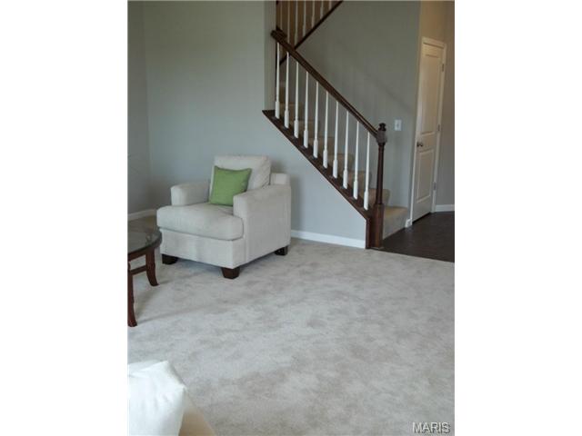 1000 Ashfield Ln, O'fallon, MO 63366 photo 18