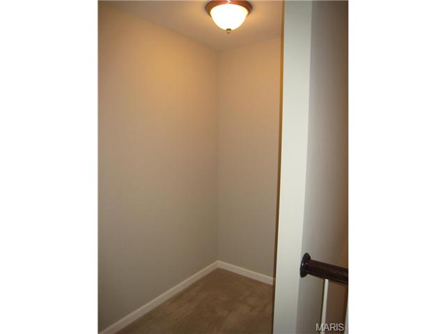 1000 Ashfield Ln, O'fallon, MO 63366 photo 45