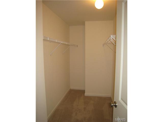 1000 Ashfield Ln, O'fallon, MO 63366 photo 43