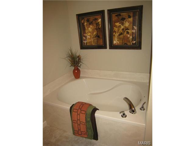 1000 Ashfield Ln, O'fallon, MO 63366 photo 39