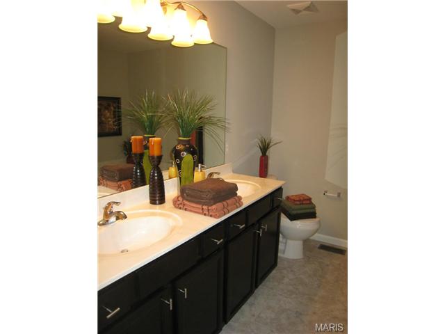 1000 Ashfield Ln, O'fallon, MO 63366 photo 36