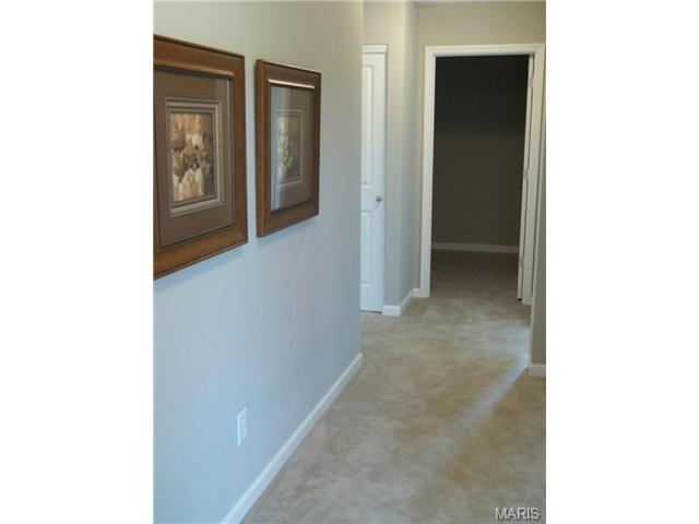 1000 Ashfield Ln, O'fallon, MO 63366 photo 20