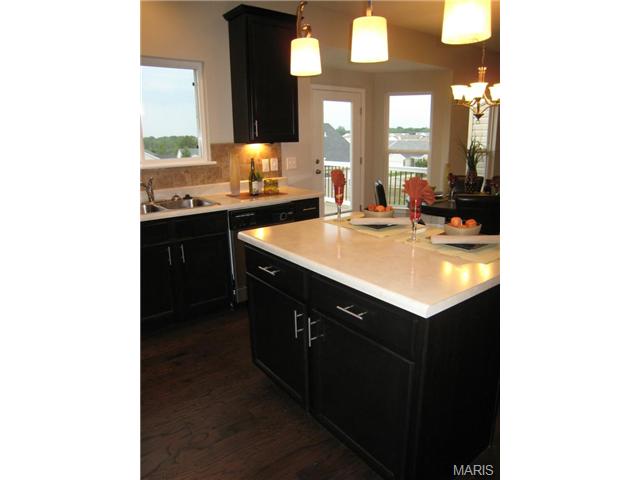 1000 Ashfield Ln, O'fallon, MO 63366 photo 30