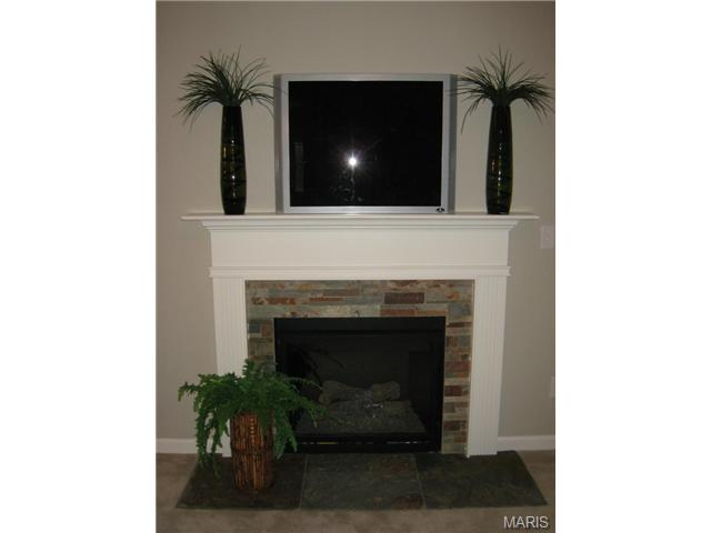 1000 Ashfield Ln, O'fallon, MO 63366 photo 55