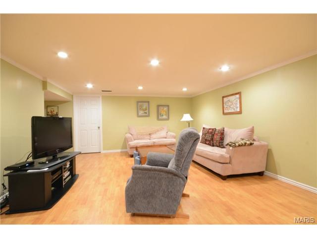 302 Stephanie, Ballwin, MO 63011 photo 10