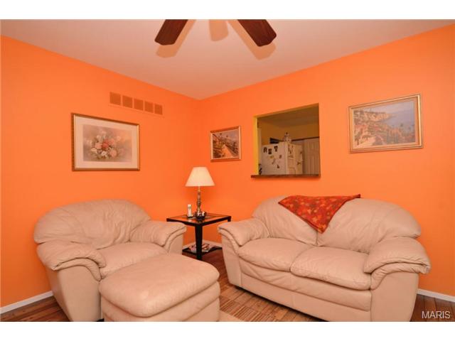 302 Stephanie, Ballwin, MO 63011 photo 8