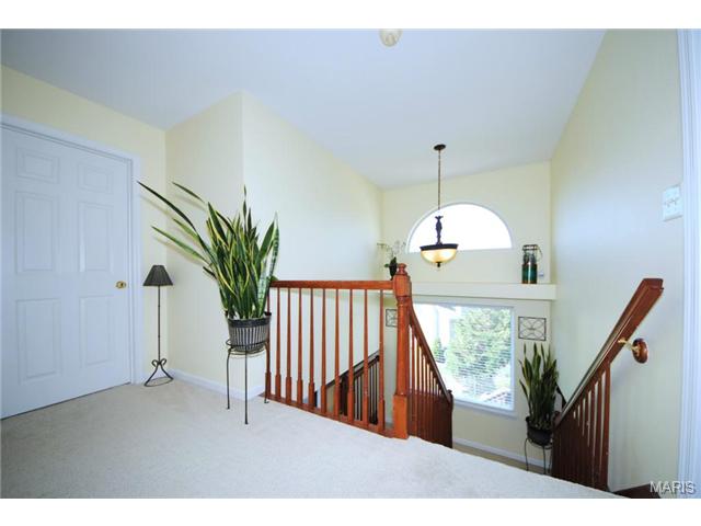214 Falcon Hill Dr, O'fallon, MO 63368 photo 18