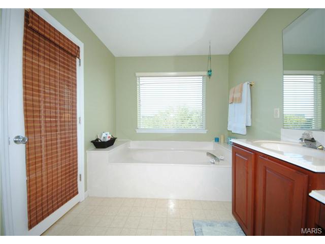 214 Falcon Hill Dr, O'fallon, MO 63368 photo 22
