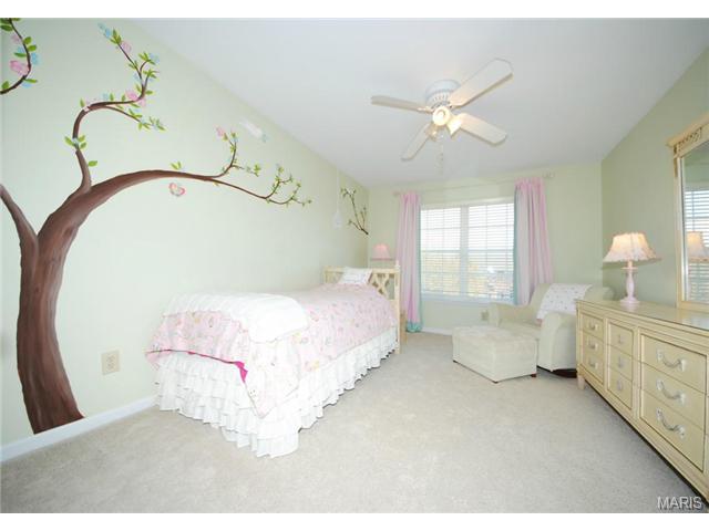 214 Falcon Hill Dr, O'fallon, MO 63368 photo 26