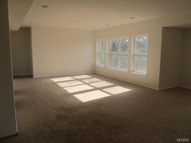 4448 Killdeer, Augusta, MO 63332 photo 13