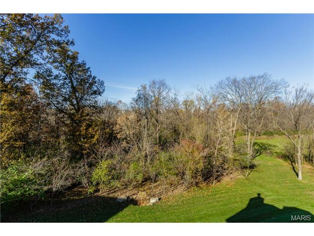 1434 Lucerne Pl, Weldon Spring, MO 63304 photo 52